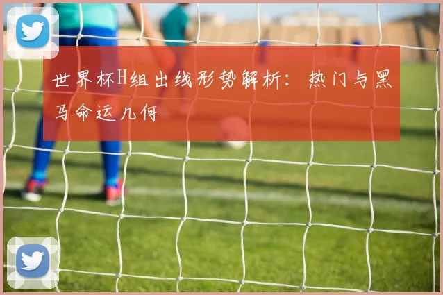 世界杯H组出线形势解析:热门与黑马命运几何