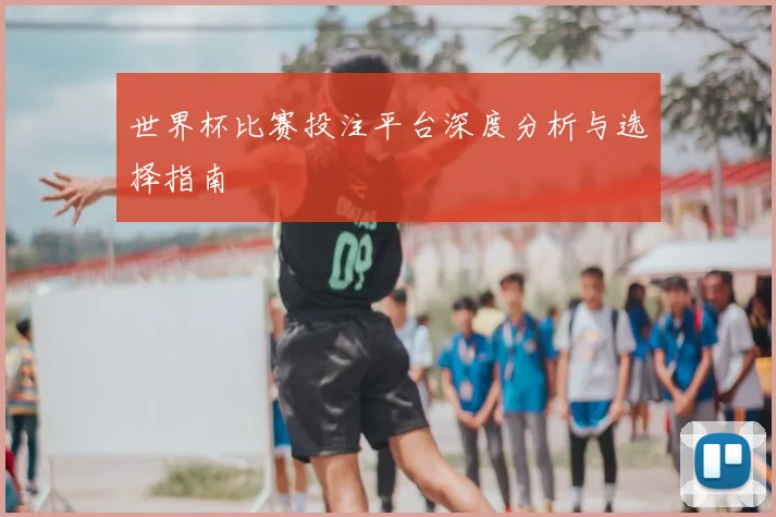 世界杯比赛投注平台深度分析与选择指南