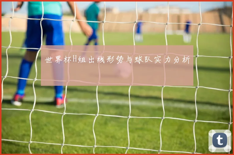 世界杯H组出线形势与球队实力分析