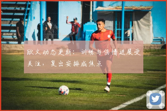 欧文动态更新：训练与伤情进展受关注，复出安排成焦点