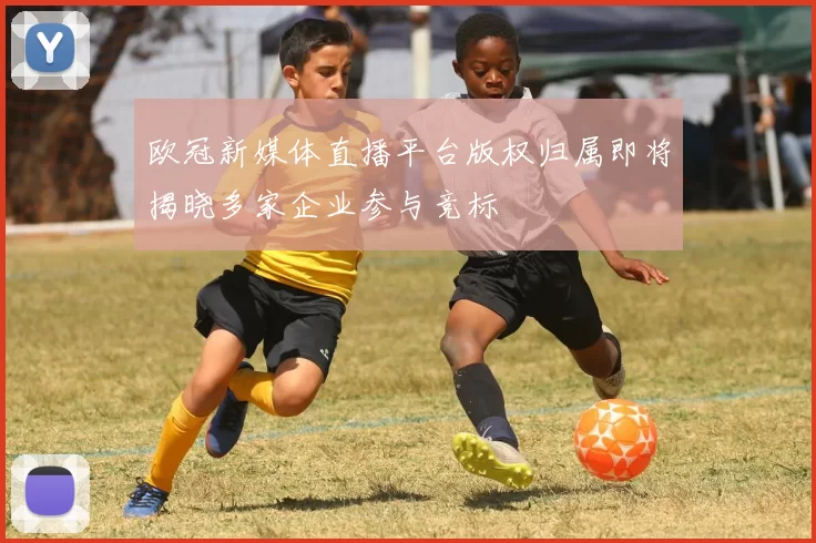 欧冠新媒体直播平台版权归属即将揭晓多家企业参与竞标