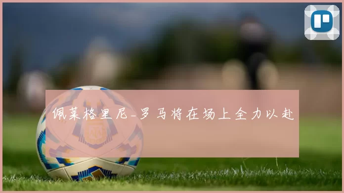 佩莱格里尼_罗马将在场上全力以赴