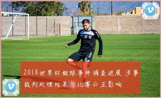 2018世界杯假球事件调查进展 涉事裁判处理结果与比赛公正影响