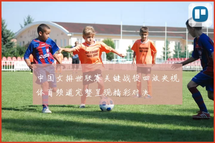 中国女排世联赛关键战役回放央视体育频道完整呈现精彩对决