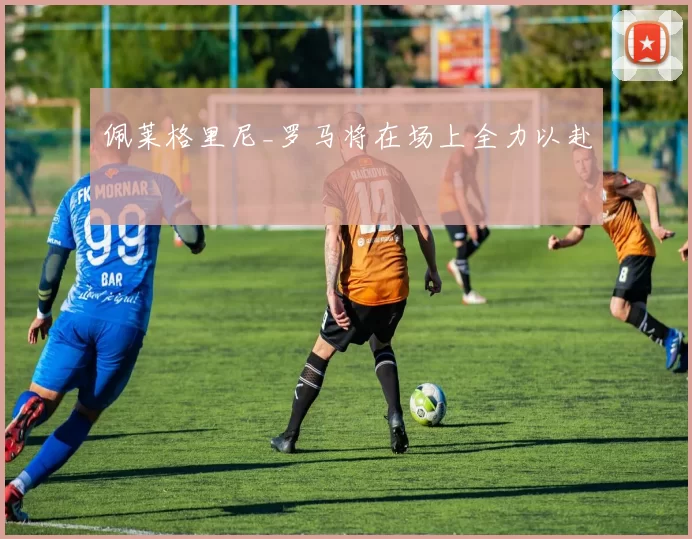 佩莱格里尼_罗马将在场上全力以赴