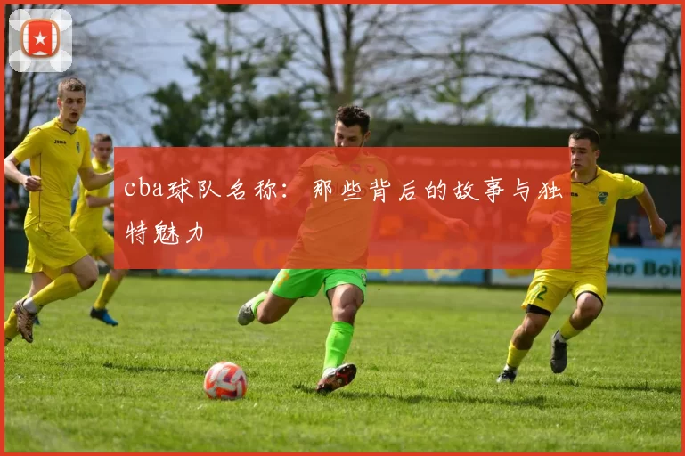 cba球队名称：那些背后的故事与独特魅力