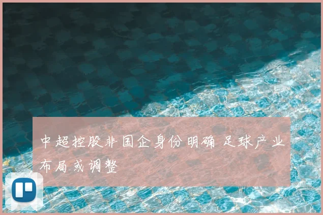 中超控股非国企身份明确 足球产业布局或调整