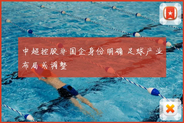 中超控股非国企身份明确 足球产业布局或调整