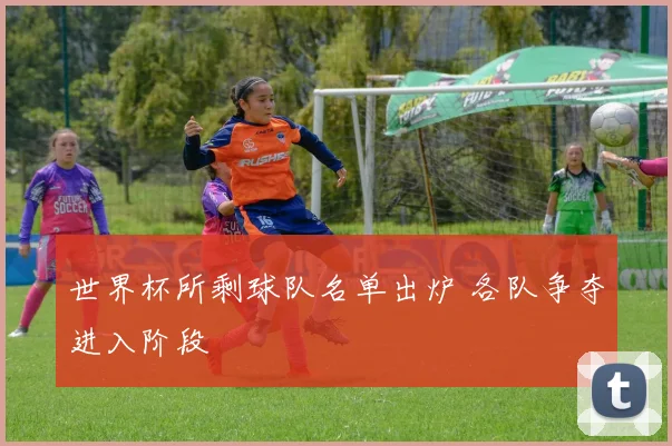 世界杯所剩球队名单出炉 各队争夺进入阶段
