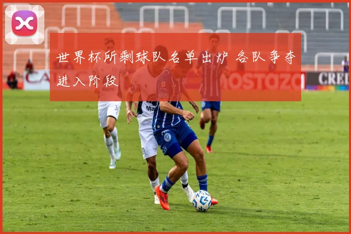 世界杯所剩球队名单出炉 各队争夺进入阶段