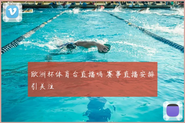 欧洲杯体育台直播吗 赛事直播安排引关注