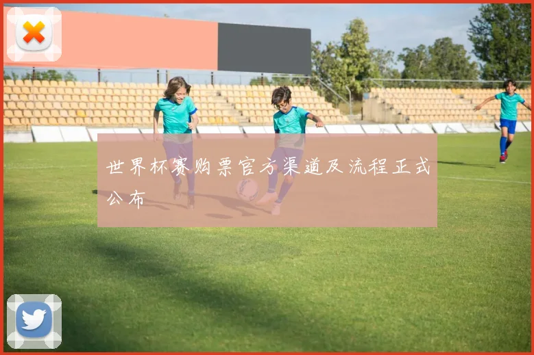 世界杯赛购票官方渠道及流程正式公布