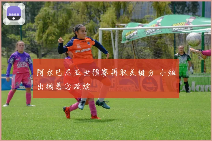 阿尔巴尼亚世预赛再取关键分 小组出线悬念延续