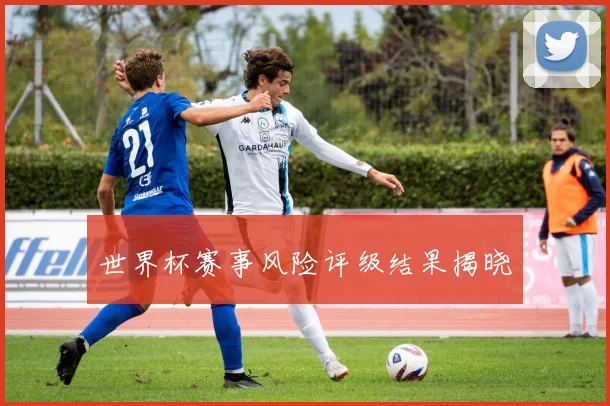 世界杯赛事风险评级结果揭晓