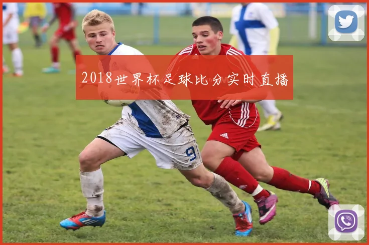 2018世界杯足球比分实时直播