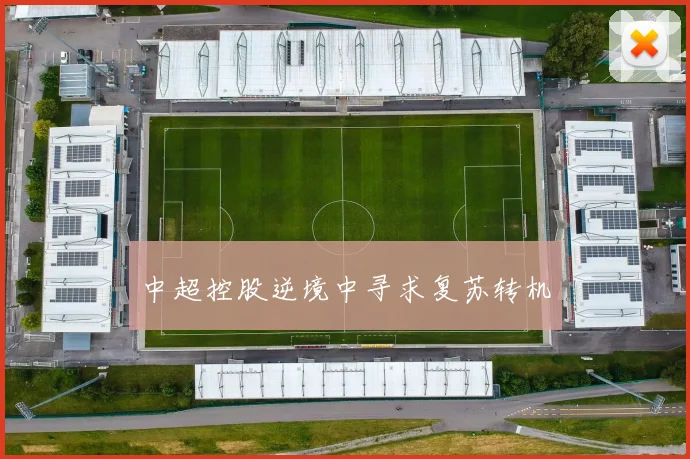 中超控股逆境中寻求复苏转机