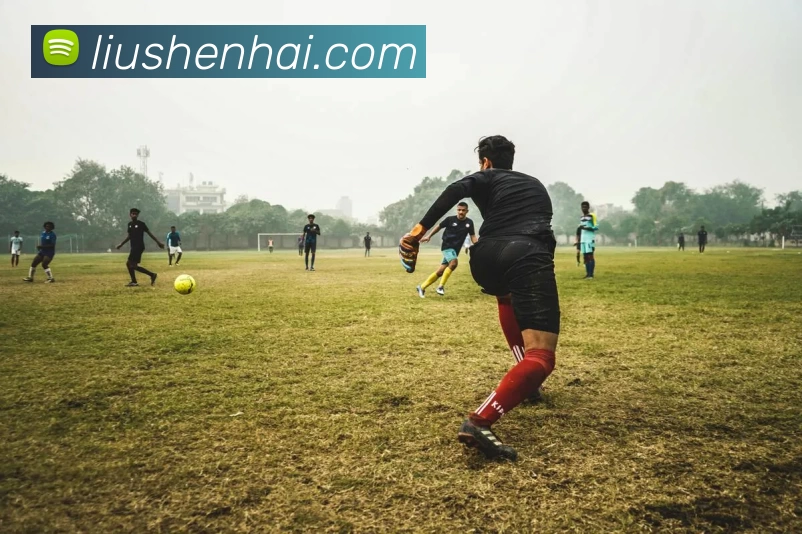 多媒体互动体验